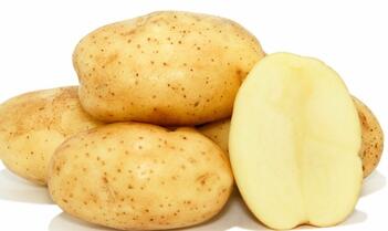 Стало відомо, як вибрати насіннєву картоплю – AgroNews