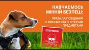 Урок про мінну безпеку для школярів: рекомендації ДСНС