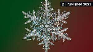 Photos of Snowflakes Like You've Never Seen Them Before - The New York Times