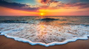 Ocean Organic Vodka - The Home of Ocean Vodka