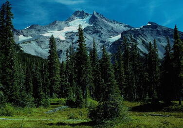 0402ap76-49d5-376x263.jpg