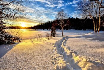 0402apey-bca9-350x234.jpg