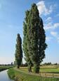 0402aqnc-4707-84x114.jpg