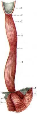 0402aqpm-d9b9-129x390.jpg