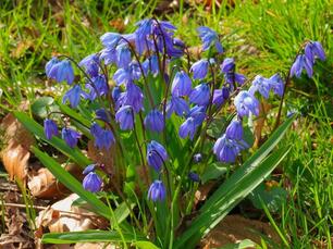 0402au28-e578-306x229.jpg