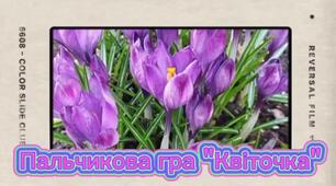 Логопедична хвилинка- пальчикова гра "Квіточка".