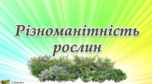 Узагальнення і систематизація знань з теми: "Різноманітність рослин"