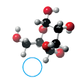 0402b0lh-0b83-118x122.png