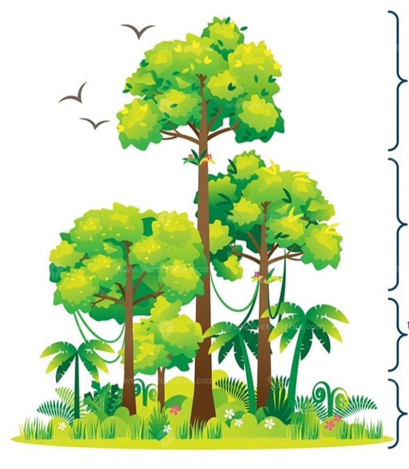 0402b0xr-ee80-844x967.png
