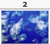 0402b33j-4490-168x149.png