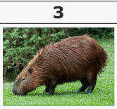 0402b33q-87c0-166x155.png