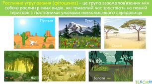 Рослинні угруповання