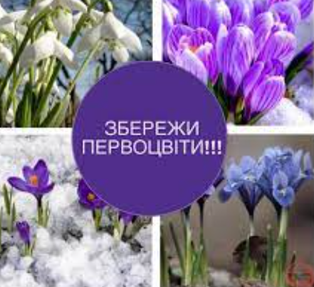 0402b8nl-053e-441x403.png