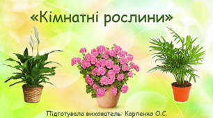 Презентація  для дітей старшої групи на тему: «Кімнатні рослини»