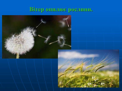 0402b944-751c-301x226.jpg