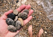 How to Start Rockhounding: The Ultimate Beginner's Guide – How to Find Rocks