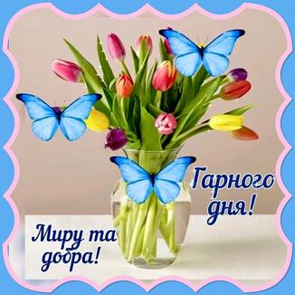 0402bb7g-ee73-326x326.jpg