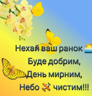 0402bepz-d988-298x312.png