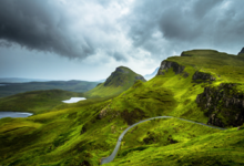 0402bg75-209d-220x150.png