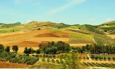 0402bg8n-dc72-227x137.jpg