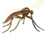 0402bglf-f3c4-90x76.png
