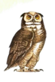 0402bgmh-a8eb-80x120.png