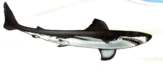 0402bgmr-c6fe-163x76.png