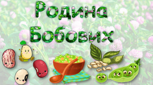 Презентація " Родина Бобових"