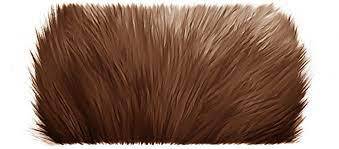 Making Nice Fur for Animals in a Simple Way - Photoshop Lady