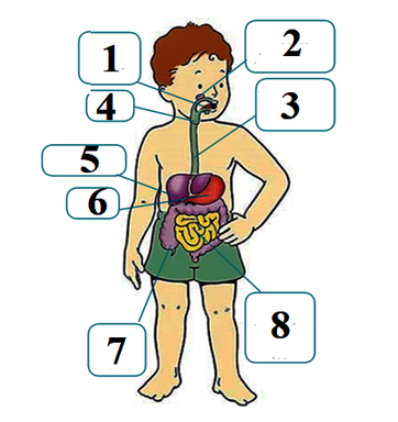 0402bk47-38fd-461x489.png