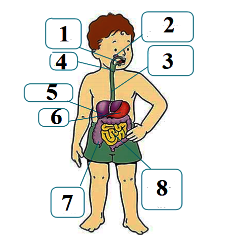 0402bk47-38fd-461x489.png