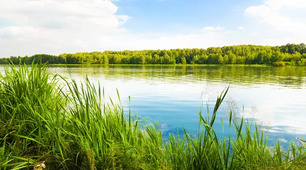 Презентація "Води суходолу. Річки"