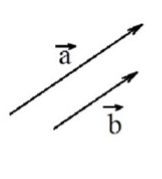 0402bk72-9155-162x179.png