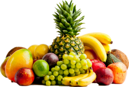 0402bo8a-488f-259x176.png