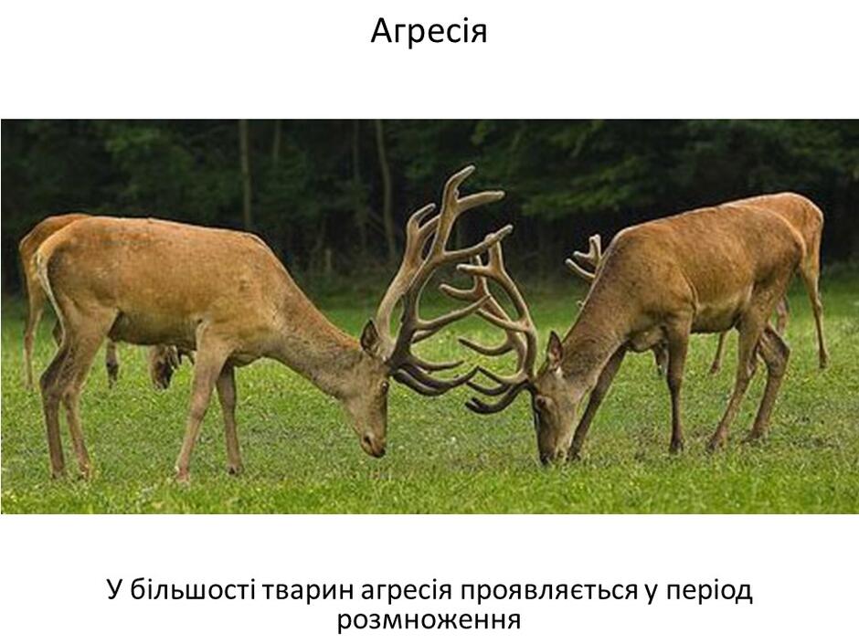 0402bp3t-94ba-940x705.jpg