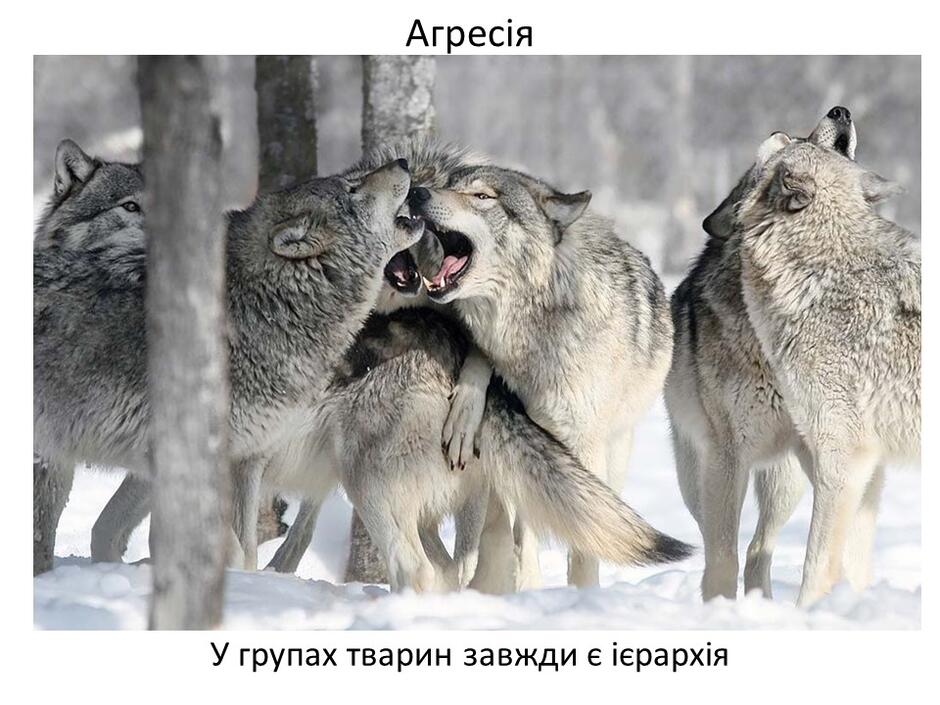 0402bp3y-882e-940x705.jpg