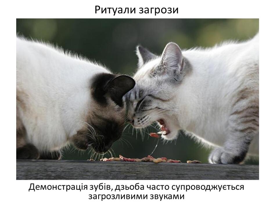 0402bp43-146c-940x705.jpg