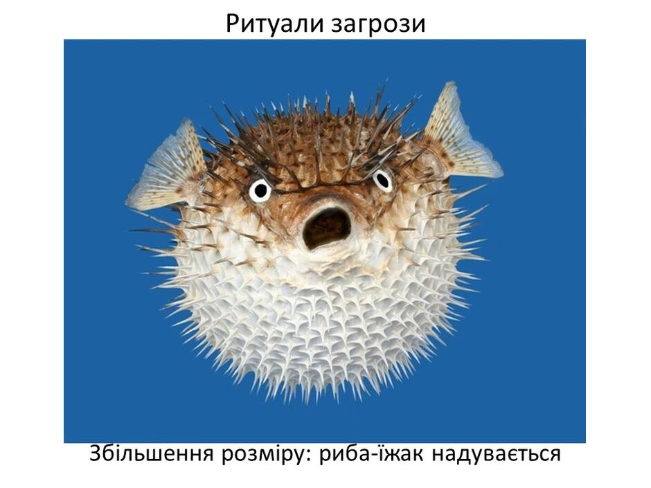 0402bp4a-303d-940x705.jpg