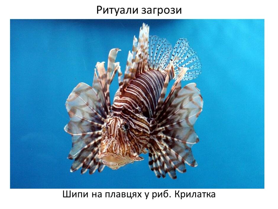 0402bp4l-86cc-940x705.jpg