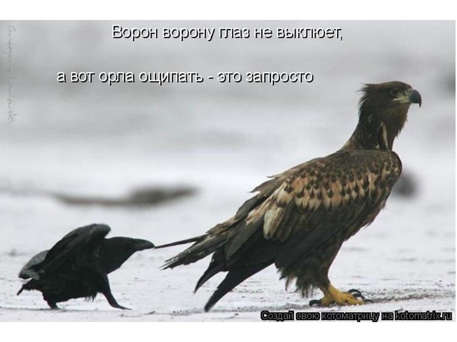 0402bp4m-10be-940x705.jpg
