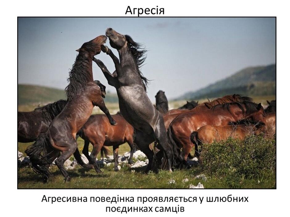 0402bp4p-1b19-940x705.jpg