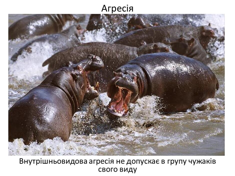 0402bp4v-7d1d-940x705.jpg