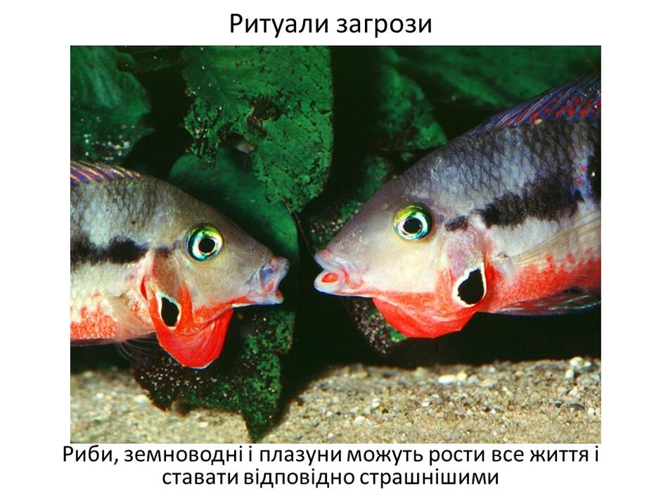 0402bp52-1f6a-940x705.jpg