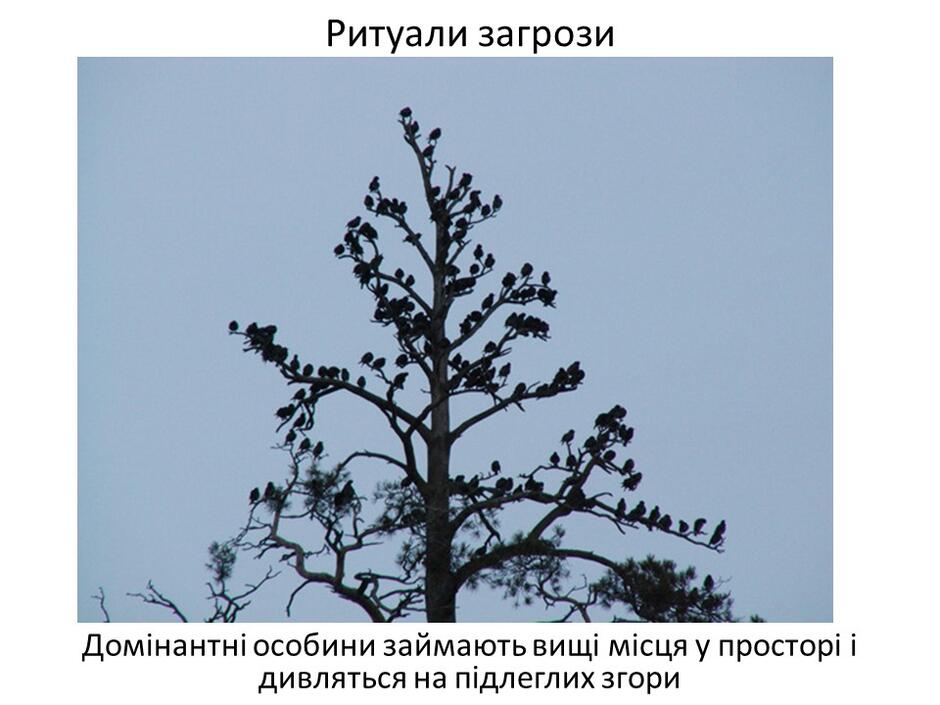 0402bp54-c145-940x705.jpg