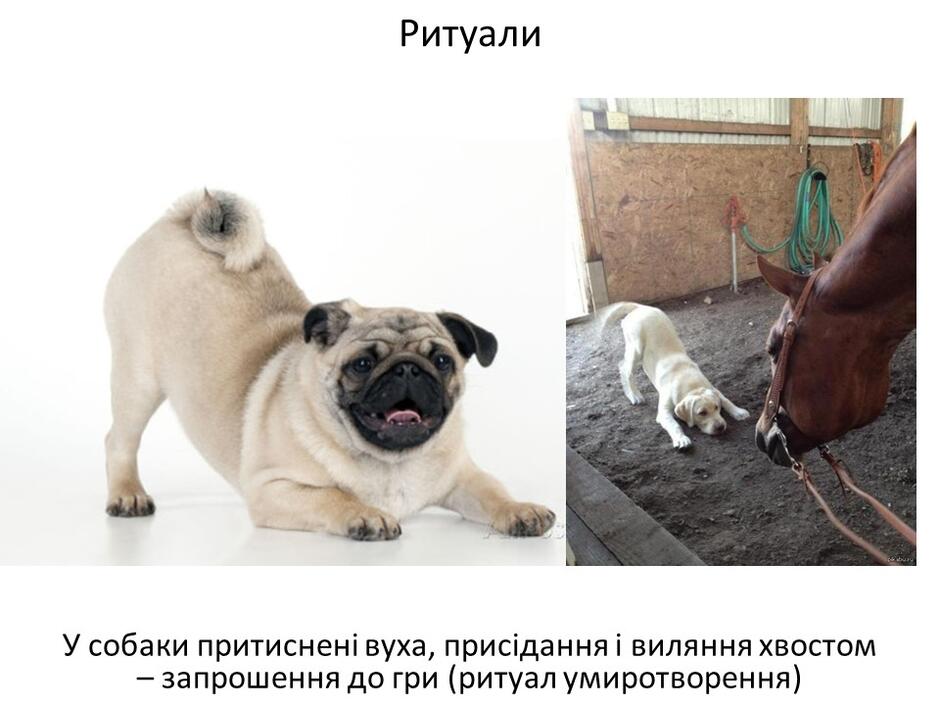 0402bp57-9699-940x705.jpg