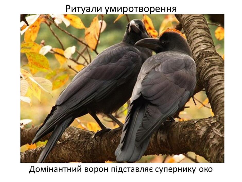 0402bp5a-6ef0-940x705.jpg