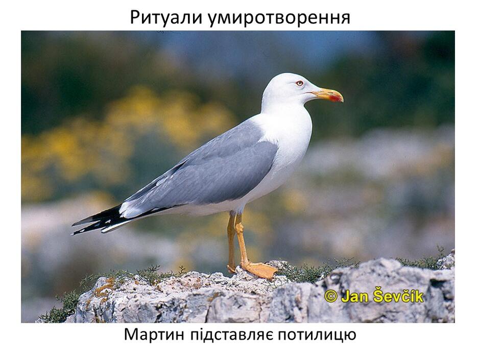 0402bp5d-14f7-940x705.jpg