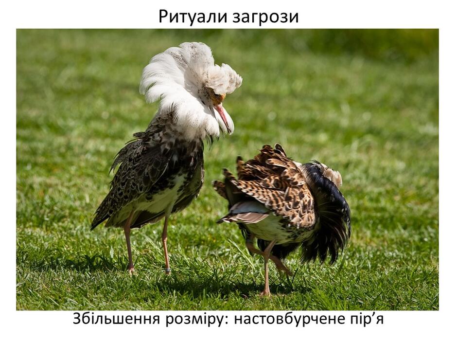 0402bp5f-823c-940x705.jpg