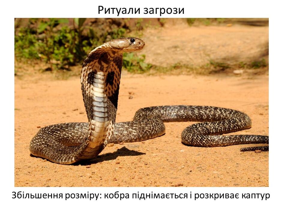 0402bp5h-f9a5-940x705.jpg