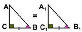 0402brib-d5a7-267x105.png